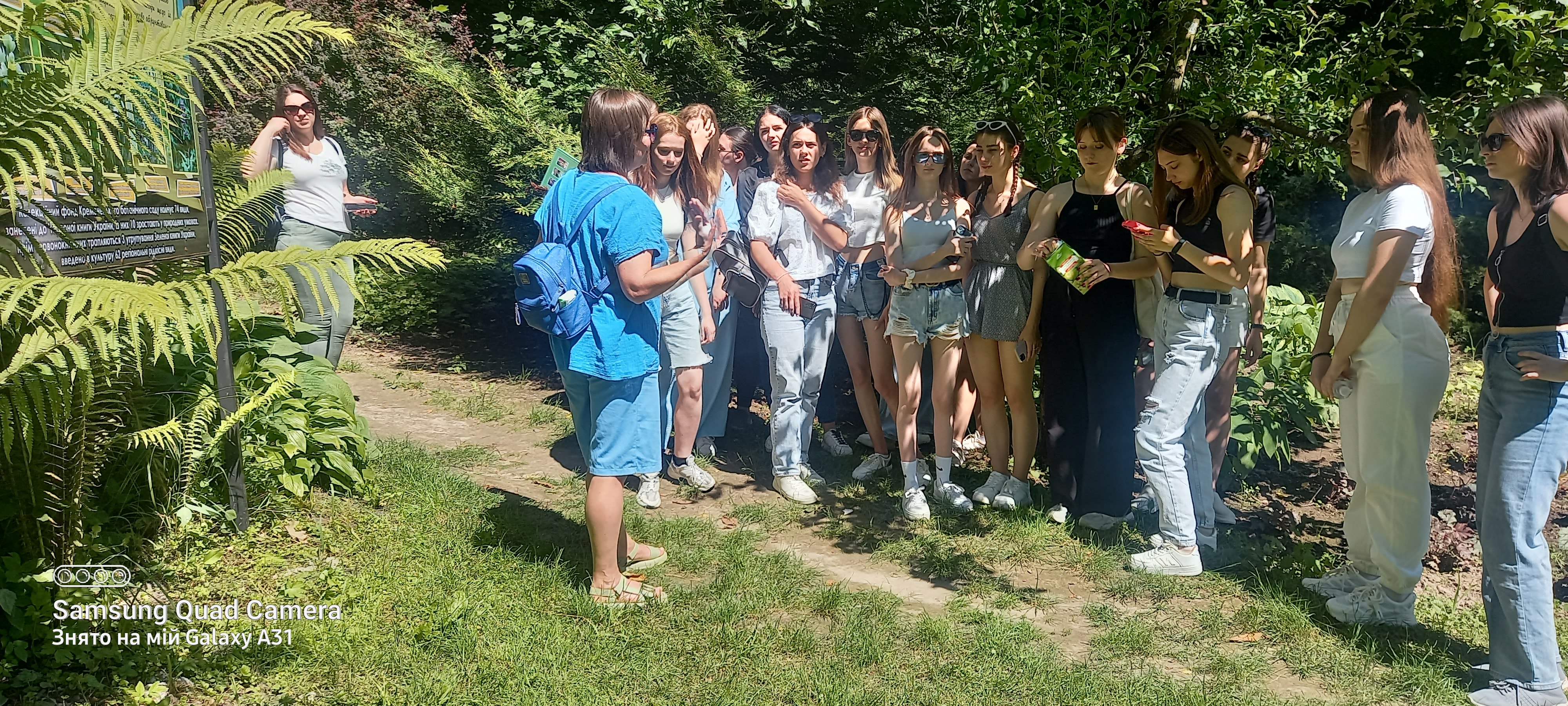 Цікаво, чи цвіте папороть